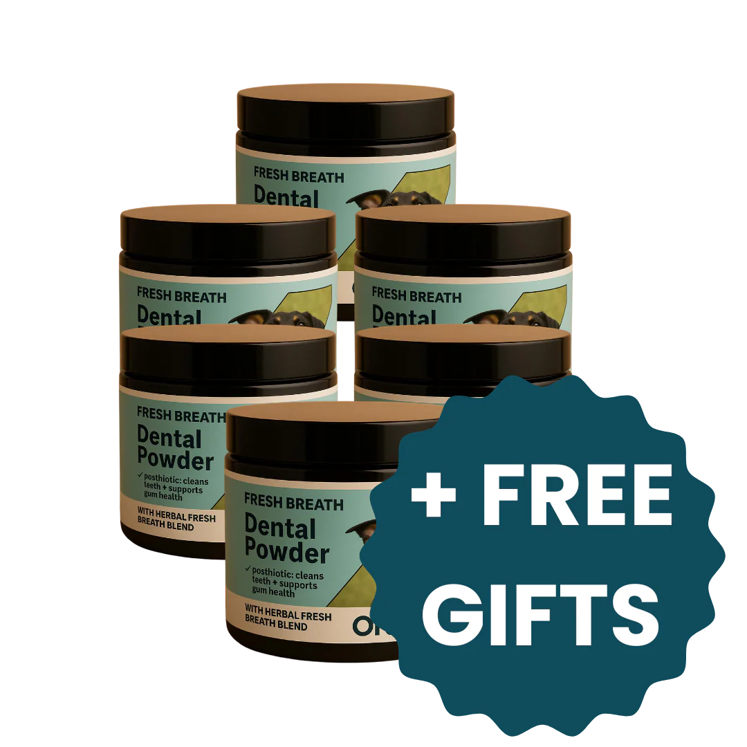 Oracani™ Oral Care Powder