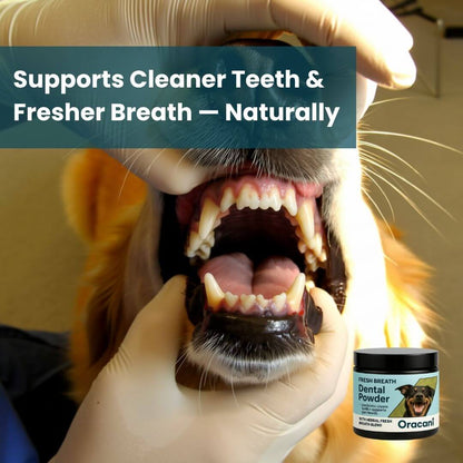 Oracani™ Oral Care Powder