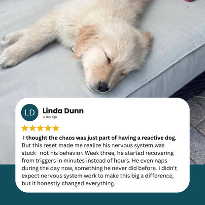 FREE 30-Day Vagus Nerve Reset