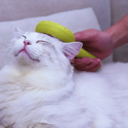 FurDonut™ - Free Today